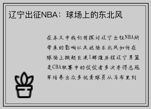 辽宁出征NBA：球场上的东北风